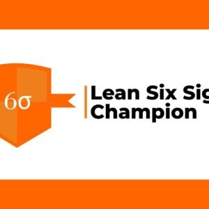 Lean 6Sigma Champion