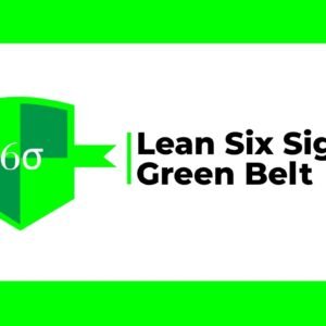 Lean 6Sigma Gbelt