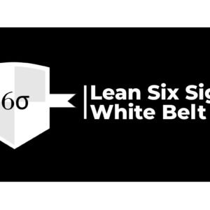 Lean 6Sigma Wbelt