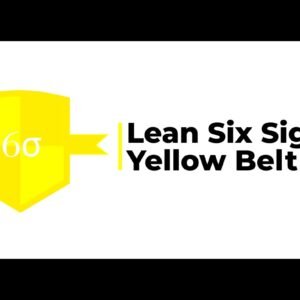 Lean 6Sigma Ybelt